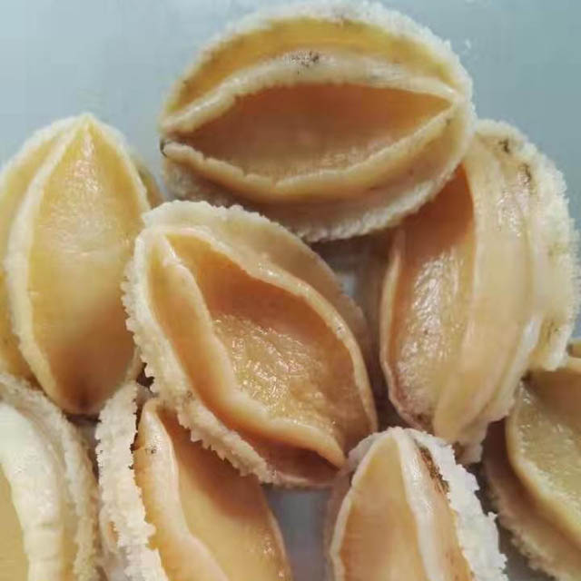 Abalone Meat IQF Size 10/12/16/20/22/28pcs Per Kg Cleaned Gutted