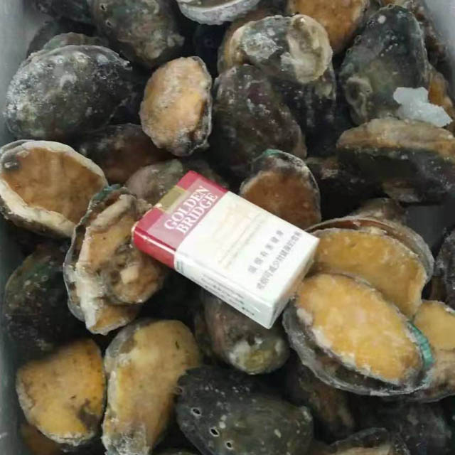 Abalone Meat Favorable Price ZHANHUA SEAFOOD
